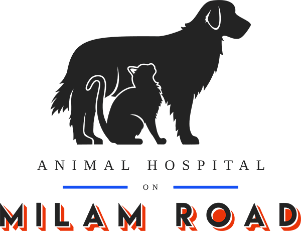 Animal Hospital On Milam Road