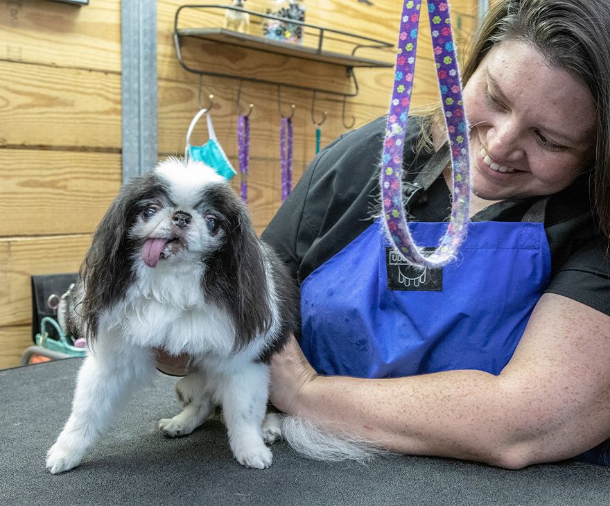 pet groomer hugging dog with tongue sticking out after grooming and bathing at animal hospital on milam road